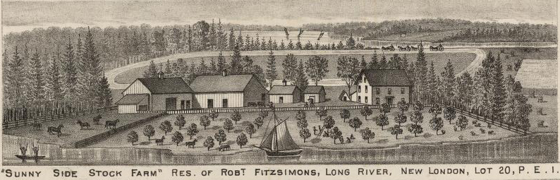Fitzsimmons Farm